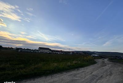 Spațiu comercial, în Oșorhei - 8