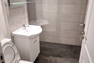 F.C.Ripensia-apartament 2 cam decomandat de inchiriat - 19