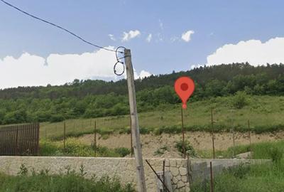 Teren de 5339 mp, în Dăbâca - 3