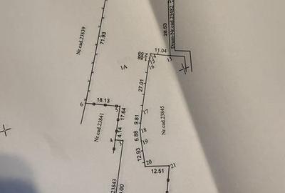 Teren de 3900 mp, în Cocorăștii Colț - 6