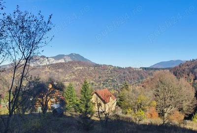 Teren intravilan -Predeal-Paraul Rece - 3