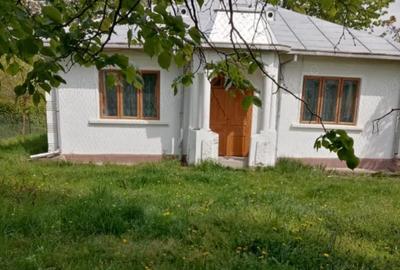 Vand casa, curte generoasa in Lisna, judetul Botosani - 4