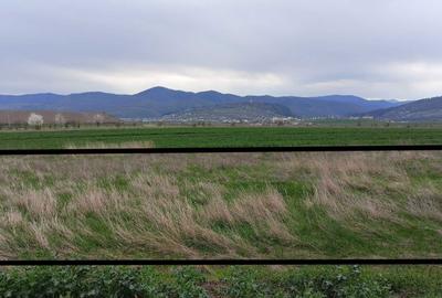 Spațiu comercial, în Central - 1