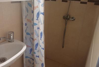 Închiriere ap. 1 cameră, sup. 40 mp. în Centru, zona Prefecturii - 6