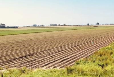 Teren de 30000 mp, în Exterior Vest - 1