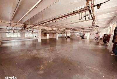Spațiu comercial, de 1,400 mp, în Lăpuș - 9