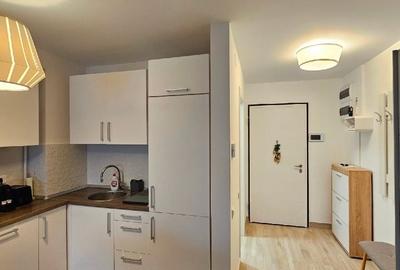 Apartament cu 2 camere decomandat, mobilat în Banu Manta - 6