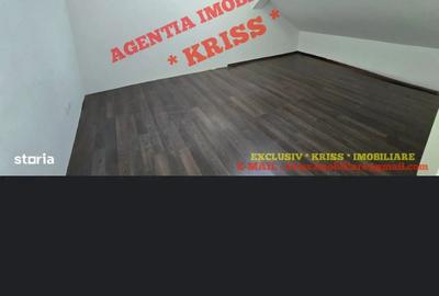 Vand mansarda Trivale Pitesti 75000 - 3