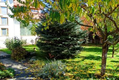 Casă cu 5 camere cu Teren 698 Mp în Albert
