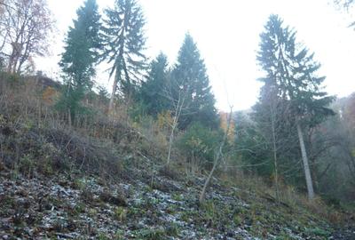 Spațiu comercial, în Drumul Carului - 6