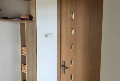 Apartament cu 2 camere decomandat în Podgoria - 6