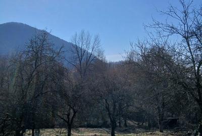 Casă cu 3 camere în Nojag - 4