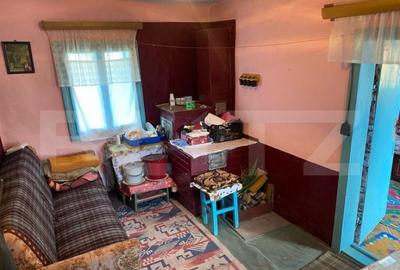 Casa batraneasca, 249mp, oras Siret - 9