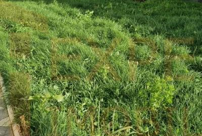 Casa unde linistea se intalneste cu spatiul — Lumina, Constanta - 13