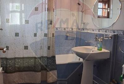 Apartament cu 2 camere semidecomandat, mobilat în Văcăresti - 8