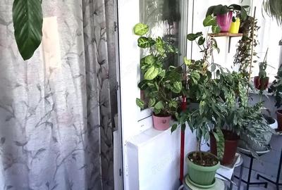 Apartament cu 2 camere semidecomandat în Aradului