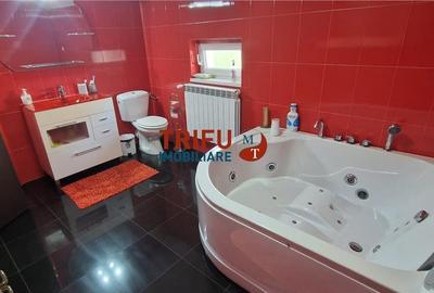 Casa spatioasa de vanzare in Alba Iulia - 11