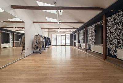 CLADIRE BIROURI | 300MP - 4