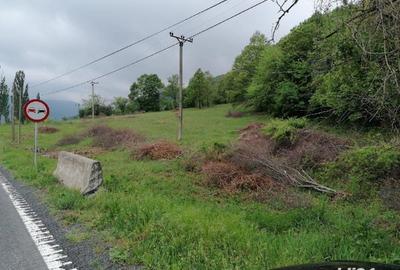 Teren de 2500 mp, în Sichevița - 6