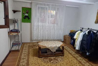 Vind 2 case Carei Satu-Mare,singur in curte - 8