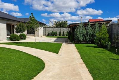 CASA CUMPANA LA ALB | TEREN 814 | BECI + PUT DE APA | - 11