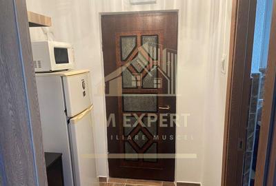 APARTAMENT 2 CAMERE ETAJ 3 VI?OI CAMPULUNG - 13