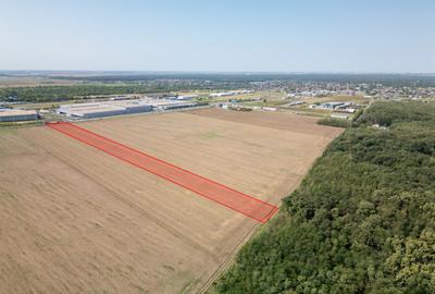 Teren Vanzare Intravilan Branesti investitie Zona Industrial - 12