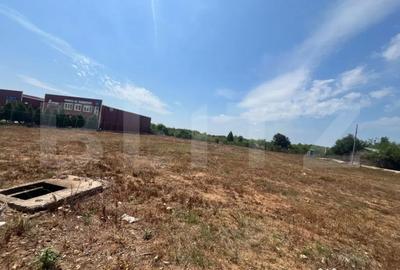 Teren de 3000 mp, în Centură - 2