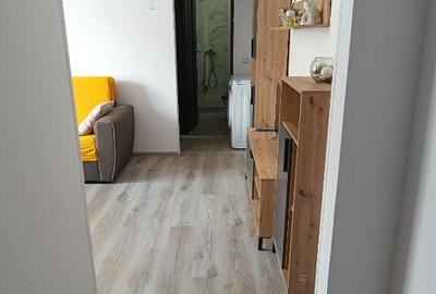 Apartament 2 camere Decebal - 12