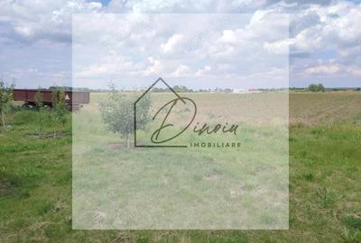 Teren intravilan Ciocanesti Cretu - 9282 mp divizat in 15 loturi - 7