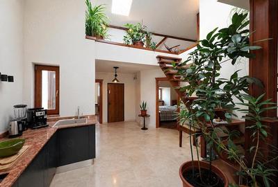 Apartament cu 6 camere decomandat în Ferdinand - 10