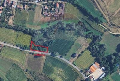 Teren 1,400mp Medias / Valea lunga - 2