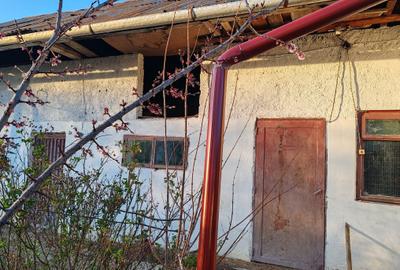 Casa 3 camere libera la vanzare GHIMBAV - 27