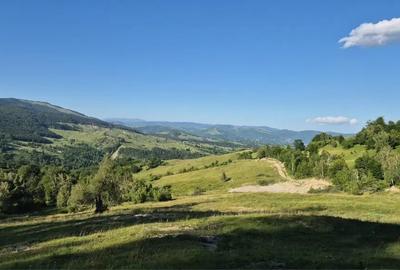 Teren de 13000 mp, în Talea - 3