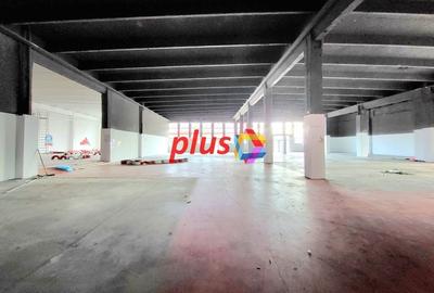 Show room - 600 mp #Plus-imo.ro
