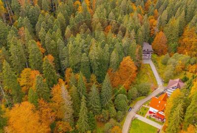 Comision 0 | Teren intravilan de vanzare - Predeal, Brasov 908 mp - 9