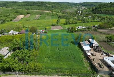 Teren de 5351 mp, în Roșiori - 8