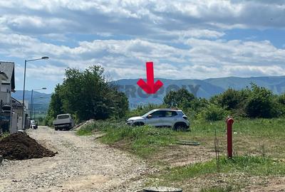 Teren 5.000 mp pe Calea Cisnadiei - 2