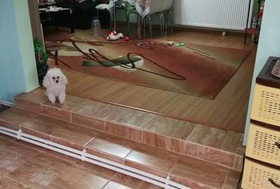 Casă în Lacu Dulce - 2