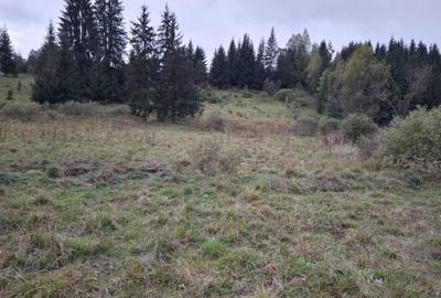 Spațiu comercial, în Panaci - 3