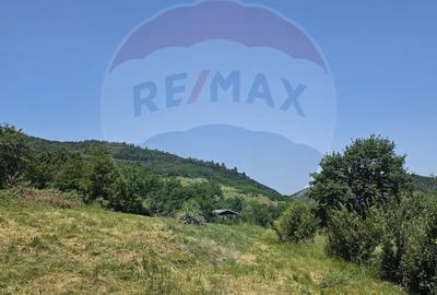 Teren  intravilan  de vanzare Oras  Saliste  Strada Livezii Jud. Sibiu - 21