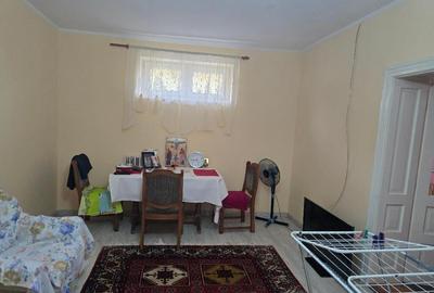 Casă cu 5 camere cu Teren 3040 Mp în Tămășeu - 23