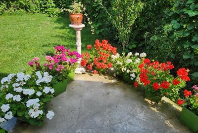 Casă cu 4 camere în Central - 4