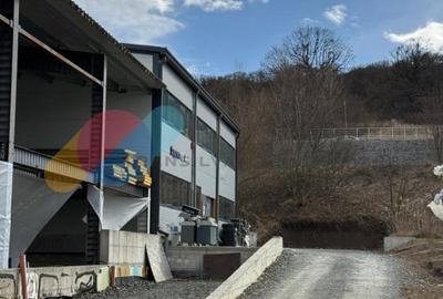 Hala industriala Cluj-Napoca, Tetarom I-1.945 mp sau 1.079 mp-vanzare - 3