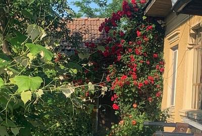 Casă cu 3 camere în Băneasa - 4