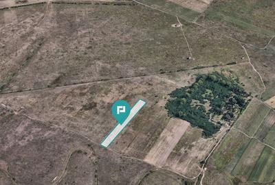 Teren de 10000 mp, în Moșnița Nouă - 4