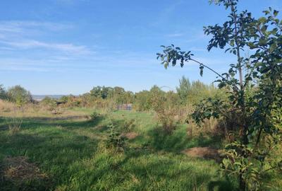 Spațiu comercial, în Cisnădioara - 5