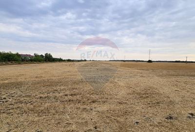 Teren Construcții intravilan de 2670 mp, în Est - 6