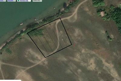 Teren de 1226 mp, în Vrancea - 2