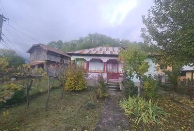 Casă cu 3 camere cu Teren 3410 Mp în Aluniș - 6